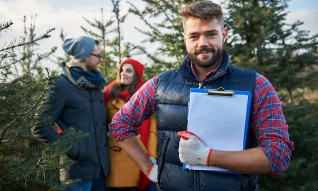 Karrierépítés vidéken: lehetőségek és kihívások