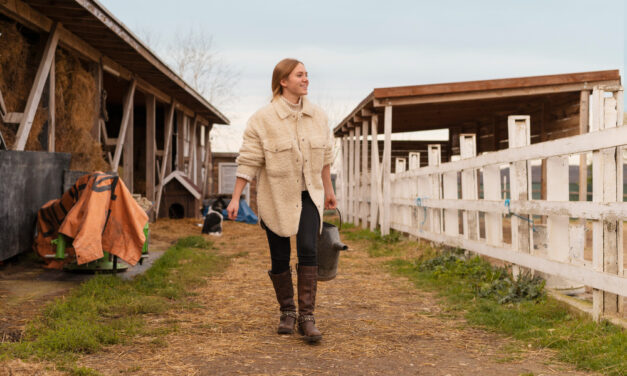 Karrierváltás vidékre költözés után – valódi szakmák és lehetőségek